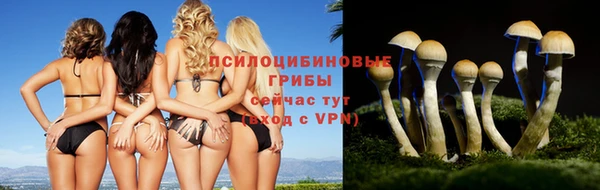 кокаин Алзамай