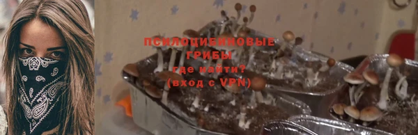 таблы Алексин