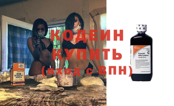 шишки Медвежьегорск