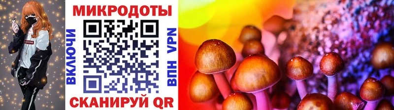 Галлюциногенные грибы мухоморы  Чайковский 